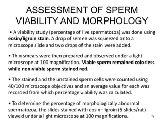 ASSESSMENT OF SPERM
VIABILITY AND MORPHOLOGY
• A viability study (percentage of live spermatozoa) was done using
eosin/ligroin stain. A drop of semen was squeezed onto a
microscope slide and two drops of the stain were added.
• Thin smears were then prepared and observed under a light
microscope at 100 magnification. Viable sperm remained colorless
while non-viable sperm stained red.
• The stained and the unstained sperm cells were counted using
40/100 microscope objectives and an average value for each was
recorded from which percentage viability was calculated.
• To determine the percentage of morphologically abnormal
spermatozoa, the slides stained with eosin–ligroin (5 slides/rat)
viewed under a light microscope at 100 magnifications. 71
 