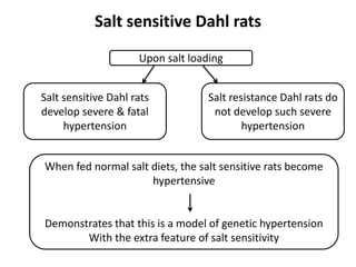 Screening methods for the evaluation of antihypertensive agents ...