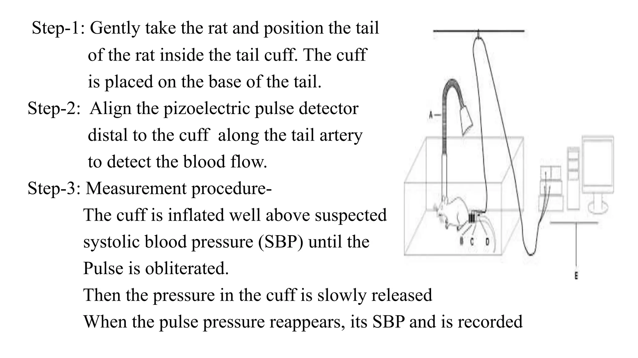 screening of antihypertensive drugs.pptx