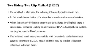 screening of antihypertensive drugs.pptx