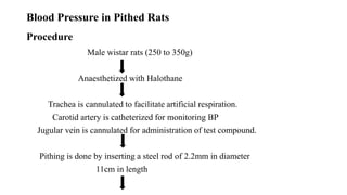 screening of antihypertensive drugs.pptx