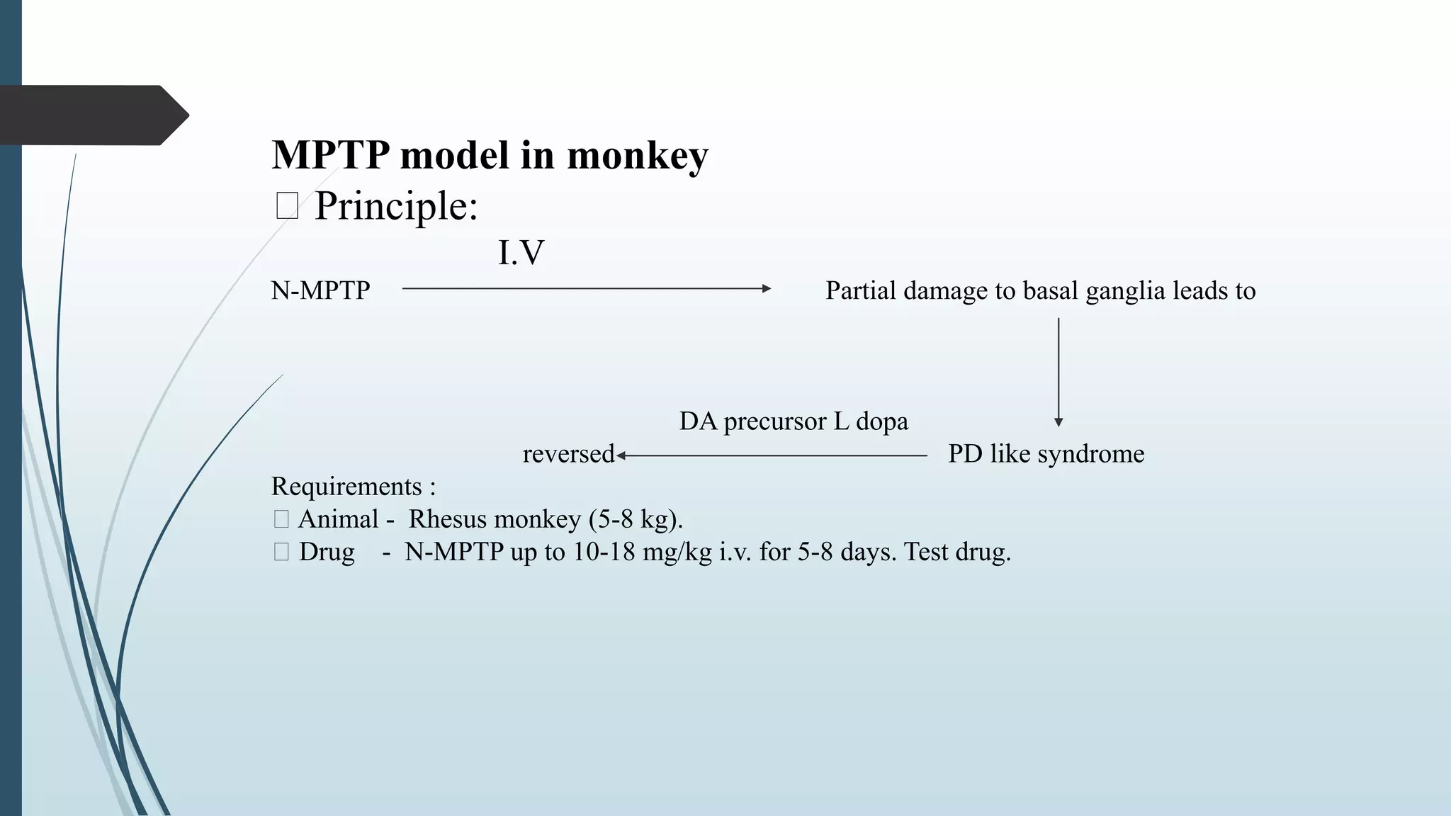 MPTP model in monkey
Principle:
I.V
N-MPTP Partial damage to basal ganglia leads to
DA precursor L dopa
reversed PD like syndrome
Requirements :
Animal - Rhesus monkey (5-8 kg).
Drug - N-MPTP up to 10-18 mg/kg i.v. for 5-8 days. Test drug.
 