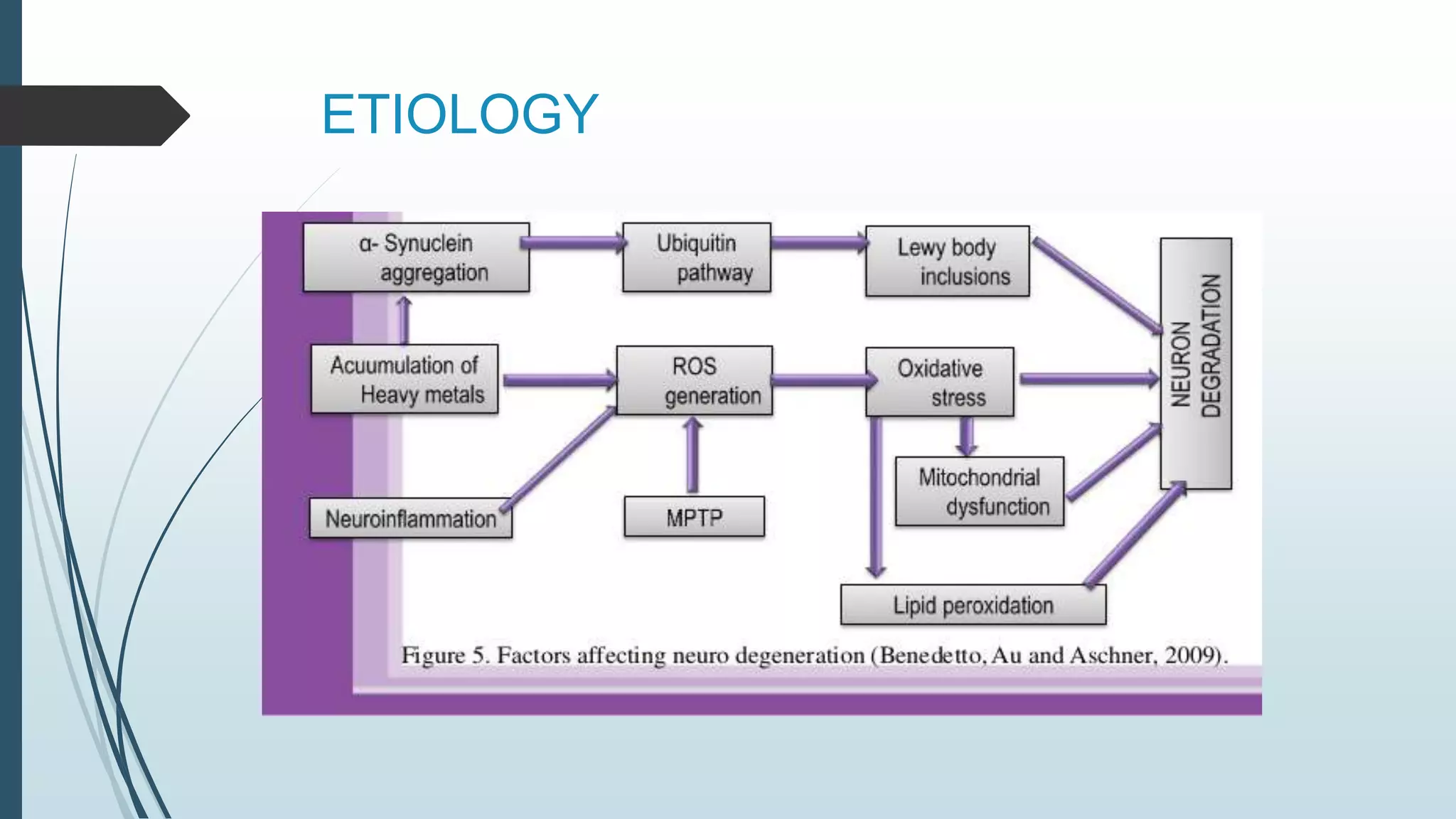 ETIOLOGY
 