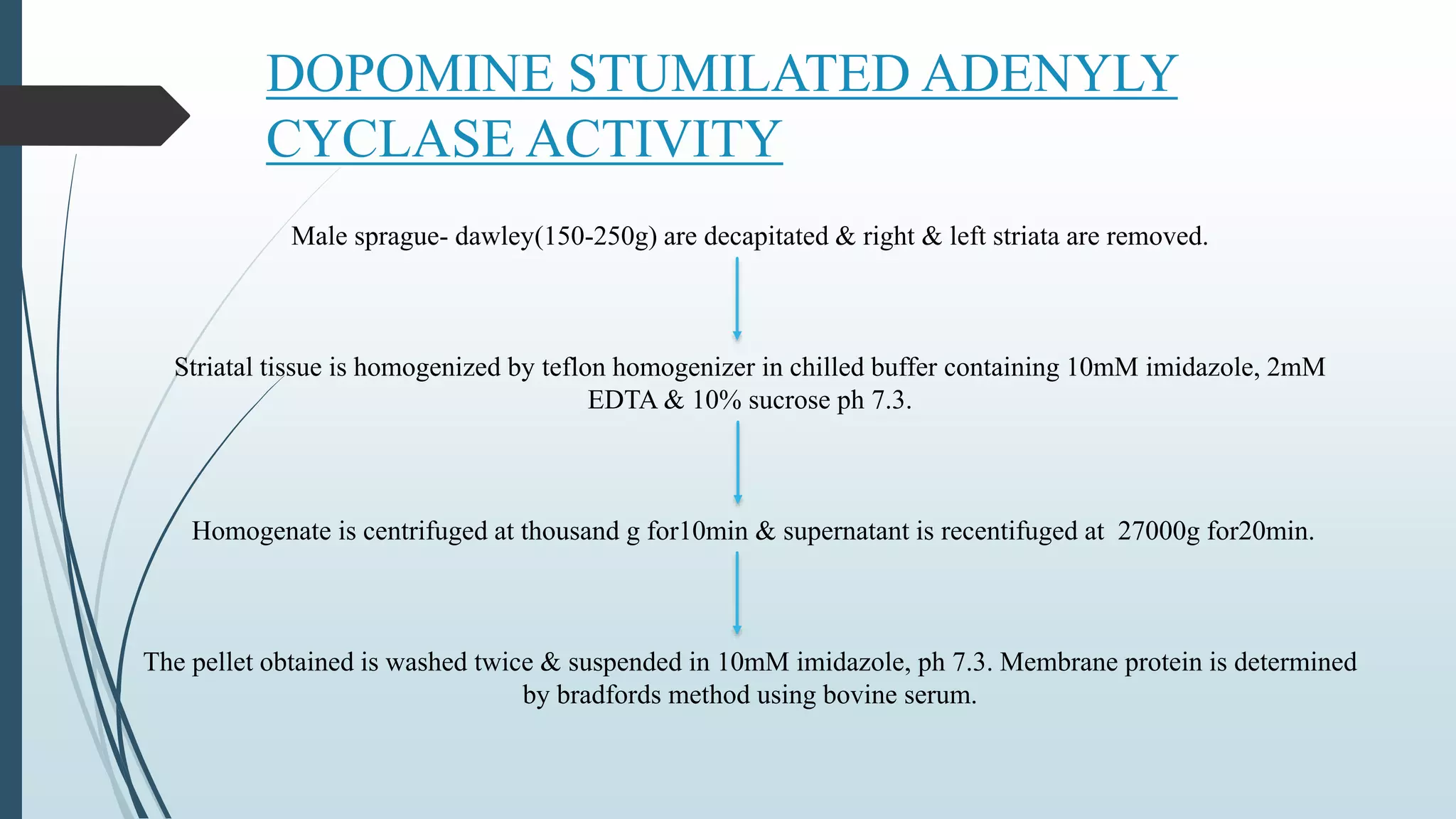 DOPOMINE STUMILATED ADENYLY
CYCLASE ACTIVITY
Male sprague- dawley(150-250g) are decapitated & right & left striata are removed.
Striatal tissue is homogenized by teflon homogenizer in chilled buffer containing 10mM imidazole, 2mM
EDTA & 10% sucrose ph 7.3.
Homogenate is centrifuged at thousand g for10min & supernatant is recentifuged at 27000g for20min.
The pellet obtained is washed twice & suspended in 10mM imidazole, ph 7.3. Membrane protein is determined
by bradfords method using bovine serum.
 