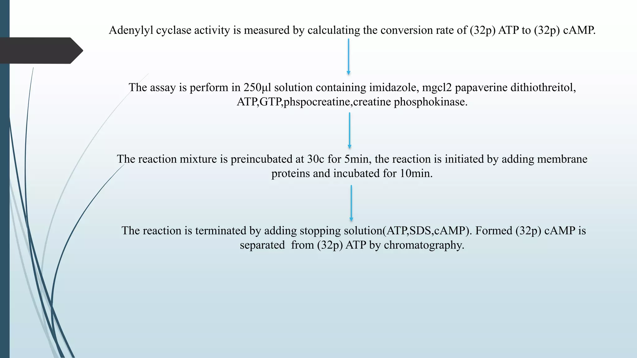 Adenylyl cyclase activity is measured by calculating the conversion rate of (32p) ATP to (32p) cAMP.
The assay is perform in 250μl solution containing imidazole, mgcl2 papaverine dithiothreitol,
ATP,GTP,phspocreatine,creatine phosphokinase.
The reaction mixture is preincubated at 30c for 5min, the reaction is initiated by adding membrane
proteins and incubated for 10min.
The reaction is terminated by adding stopping solution(ATP,SDS,cAMP). Formed (32p) cAMP is
separated from (32p) ATP by chromatography.
 