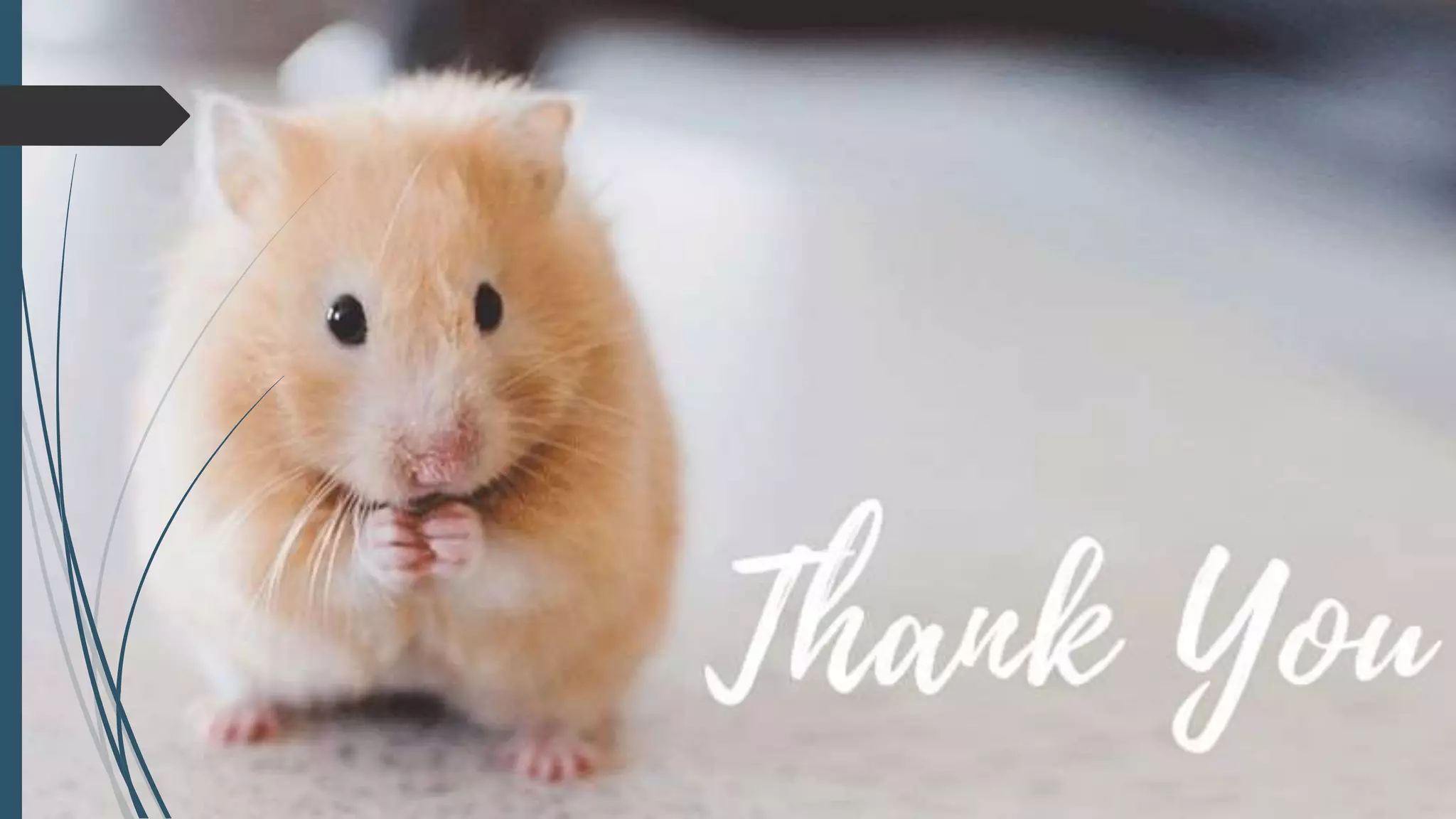 Screening of antiparkinson agent