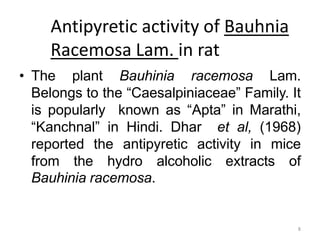 Antipyretic activity of Bauhnia
Racemosa Lam. in rat
• The plant Bauhinia racemosa Lam.
Belongs to the “Caesalpiniaceae” Family. It
is popularly known as “Apta” in Marathi,
“Kanchnal” in Hindi. Dhar et al, (1968)
reported the antipyretic activity in mice
from the hydro alcoholic extracts of
Bauhinia racemosa.
8
 
