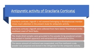Antipyretic activity of Gracilaria Corticataj
Gracilaria corticata J.Agardh is red seaweed belonging to Rhodophyceae member
shows much attention in the present study for antipyretic activity.
Gracilaria corticata J.Agardh were collected from Hare island, Thoothukudi in the
southeast coast of Tamil Nadu.
The shade dried samples were grounded to fine powder & 3g powdered sample
was packed in Soxhlet apparatus and extracted with methanol for 8 hrs.
The excess amount of methanol was evaporated, and fine methanol crude
powder was prepared and stored in the refrigerator for the antipyretic activity.
 