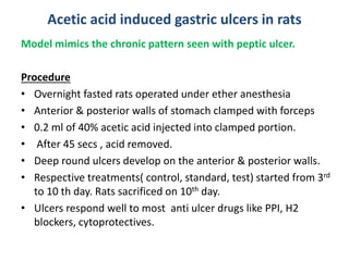 Acetic acid induced gastric ulcers in rats 
Model mimics the chronic pattern seen with peptic ulcer. 
Procedure 
• Overnight fasted rats operated under ether anesthesia 
• Anterior & posterior walls of stomach clamped with forceps 
• 0.2 ml of 40% acetic acid injected into clamped portion. 
• After 45 secs , acid removed. 
• Deep round ulcers develop on the anterior & posterior walls. 
• Respective treatments( control, standard, test) started from 3rd 
to 10 th day. Rats sacrificed on 10th day. 
• Ulcers respond well to most anti ulcer drugs like PPI, H2 
blockers, cytoprotectives. 
 