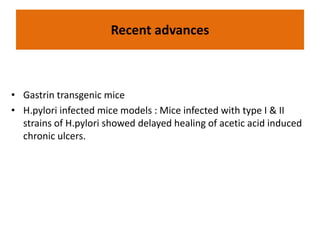 Recent advances 
• Gastrin transgenic mice 
• H.pylori infected mice models : Mice infected with type I & II 
strains of H.pylori showed delayed healing of acetic acid induced 
chronic ulcers. 
 