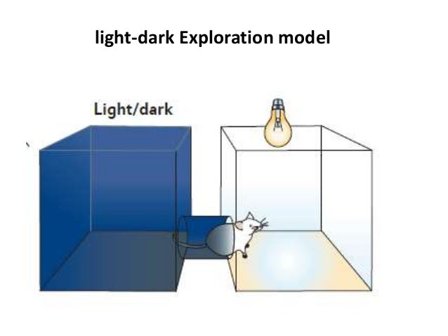 One Light In A Dark Room One Light In A Dark Room