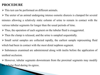 PROCEDURE
 This test can be performed on different animals.
 The ureter of an animal undergoing intense osmotic diuresis is clamped for several
minutes allowing a relatively static column of urine to remain in contact with the
various tubular segments for longer than the usual periods of time.
 Thus, the operation of each segment on the tubular fluid is exaggerated.
 Then the clamp is released, and the urine is sampled sequentially.
 Small serial samples are collected rapidly, the earliest sample representing fluid
which had been in contact with the most distal nephron segment.
 Substances examined are administered along with inulin before the application of
urethral occlusion.
 However, tubular segments downstream from the proximal segments may modify
the tubular fluid during its egress.
 