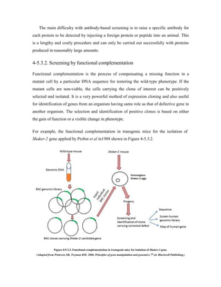 The main difficulty with antibody-based screening is to raise a specific antibody for
each protein to be detected by injecting a foreign protein or peptide into an animal. This
is a lengthy and costly procedure and can only be carried out successfully with proteins
produced in reasonably large amounts.
4-5.3.2. Screening by functional complementation
Functional complementation is the process of compensating a missing function in a
mutant cell by a particular DNA sequence for restoring the wild-type phenotype. If the
mutant cells are non-viable, the cells carrying the clone of interest can be positively
selected and isolated. It is a very powerful method of expression cloning and also useful
for identification of genes from an organism having same role as that of defective gene in
another organism. The selection and identification of positive clones is based on either
the gain of function or a visible change in phenotype.
For example, the functional complementation in transgenic mice for the isolation of
Shaker-2 gene applied by Probst et al in1988 shown in Figure 4-5.3.2.
Figure 4-5.3.2. Functional complementation in transgenic mice for isolation of Shaker-2 gene.
(Adapted from Primrose SB, Twyman RM. 2006. Principles of gene manipulation and genomics.7th
ed. Blackwell Publishing.)
 