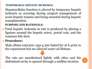 TEMPORARAY HEPATIC ISCHEMIA:
Hepatocellular function is altered by temporary hepatic
ischemia as occuring during surgical management of
acute hepatic trauma and being essential during hepatic
transplantation.
PURPOSE AND RATIONALE:
 Total hepatic ischemia in rats is produced by placing a
ligature around the hepatic artery, portal vein, and the
common bile duct.
 Procedure:
Male albino rats(300–350 g )are fasted for 16 h prior to
the experiment but are allowed water ad libitum.
The rats are anesthetized lightly with ether and the
abdominal cavity is opened through a midline incision. 15
 