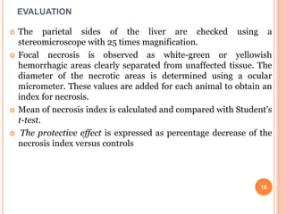 EVALUATION
 The parietal sides of the liver are checked using a
stereomicroscope with 25 times magnification.
 Focal necrosis is observed as white-green or yellowish
hemorrhagic areas clearly separated from unaffected tissue. The
diameter of the necrotic areas is determined using a ocular
micrometer. These values are added for each animal to obtain an
index for necrosis.
 Mean of necrosis index is calculated and compared with Student’s
t-test.
 The protective effect is expressed as percentage decrease of the
necrosis index versus controls
18
 