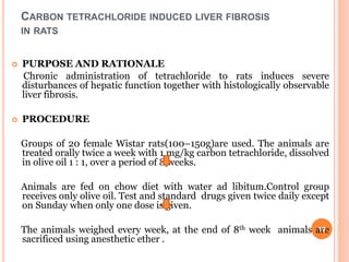 CARBON TETRACHLORIDE INDUCED LIVER FIBROSIS
IN RATS
 PURPOSE AND RATIONALE
Chronic administration of tetrachloride to rats induces severe
disturbances of hepatic function together with histologically observable
liver fibrosis.
 PROCEDURE
Groups of 20 female Wistar rats(100–150g)are used. The animals are
treated orally twice a week with 1 mg/kg carbon tetrachloride, dissolved
in olive oil 1 : 1, over a period of 8 weeks.
Animals are fed on chow diet with water ad libitum.Control group
receives only olive oil. Test and standard drugs given twice daily except
on Sunday when only one dose is given.
The animals weighed every week, at the end of 8th week animals are
sacrificed using anesthetic ether .
19
 