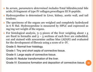  In serum, parameters determined includes-Total bilirubin,total bile
acids,7S fragment of type IV collagen,procollagen III N-peptide.
 Hydroxyproline is determined in Liver, kidney, aortic wall, and tail
tendons.
 The specimens of the organs are weighed and completely hydrolyzed
in 6 N Hal. Hydroxyproline is measured by HPLC and expressed as
mg/mg wet weight of the organs.
 For histological analysis, 3–5 pieces of the liver weighing about 1 g
are fixed in formalin and 3 – 5 sections of each liver are embedded,
cut and stained with azocarmine aniline blue (AZAN) and evaluated
for the development of fibrosis using a score of 0–IV.
Grade 0: Normal liver histology.
Grade I: Tiny and short septa of connective tissue.
Grade II: Large septa of connective tissue.
Grade III: Nodular transformation of the liver.
Grade IV: Excessive formation and deposition of connective tissue. 20
 