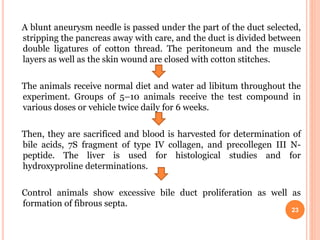 A blunt aneurysm needle is passed under the part of the duct selected,
stripping the pancreas away with care, and the duct is divided between
double ligatures of cotton thread. The peritoneum and the muscle
layers as well as the skin wound are closed with cotton stitches.
The animals receive normal diet and water ad libitum throughout the
experiment. Groups of 5–10 animals receive the test compound in
various doses or vehicle twice daily for 6 weeks.
Then, they are sacrificed and blood is harvested for determination of
bile acids, 7S fragment of type IV collagen, and precollegen III N-
peptide. The liver is used for histological studies and for
hydroxyproline determinations.
Control animals show excessive bile duct proliferation as well as
formation of fibrous septa.
23
 
