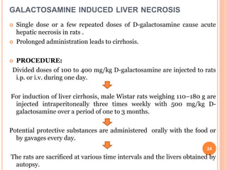 GALACTOSAMINE INDUCED LIVER NECROSIS
 Single dose or a few repeated doses of D-galactosamine cause acute
hepatic necrosis in rats .
 Prolonged administration leads to cirrhosis.
 PROCEDURE:
Divided doses of 100 to 400 mg/kg D-galactosamine are injected to rats
i.p. or i.v. during one day.
For induction of liver cirrhosis, male Wistar rats weighing 110–180 g are
injected intraperitoneally three times weekly with 500 mg/kg D-
galactosamine over a period of one to 3 months.
Potential protective substances are administered orally with the food or
by gavages every day.
The rats are sacrificed at various time intervals and the livers obtained by
autopsy.
24
 