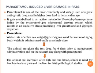 PARACETAMOL INDUCED LIVER DAMAGE IN RATS:
 Paracetamol is one of the most commonly and widely used analgesic
anti-pyretic drug used in higher dose lead to hepatic damage.
 It gets metabolised to an active metabolite N-acetyl-p-benzoquinone
imine by the cytocromeP-450 microsomal enzyme system which
results in an oxidative stress producing liver glutathione and glycogen
depletion.
 Procedure:
Wistar rats of either sex weight(150-200g)are used.Paracetamol 2g/kg
body weight is administered orally as a single dose
The animal are given the test drug foe 6 days prior to paracetamol
administration and on the seventh day along with paracetamol
The animal are sacrificed after 24h and the blood/serum is used for
biochemical analysis and the liver for histopathological studies 28
 