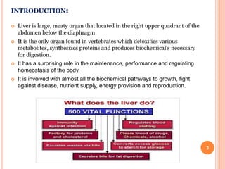 INTRODUCTION:
 Liver is large, meaty organ that located in the right upper quadrant of the
abdomen below the diaphragm
 It is the only organ found in vertebrates which detoxifies various
metabolites, synthesizes proteins and produces biochemical's necessary
for digestion.
 It has a surprising role in the maintenance, performance and regulating
homeostasis of the body.
 It is involved with almost all the biochemical pathways to growth, fight
against disease, nutrient supply, energy provision and reproduction.
3
 