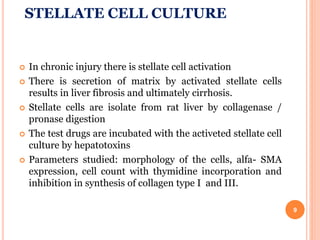 STELLATE CELL CULTURE
 In chronic injury there is stellate cell activation
 There is secretion of matrix by activated stellate cells
results in liver fibrosis and ultimately cirrhosis.
 Stellate cells are isolate from rat liver by collagenase /
pronase digestion
 The test drugs are incubated with the activeted stellate cell
culture by hepatotoxins
 Parameters studied: morphology of the cells, alfa- SMA
expression, cell count with thymidine incorporation and
inhibition in synthesis of collagen type I and III.
9
 