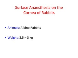 Surface Anaesthesia on the
Cornea of Rabbits
• Animals: Albino Rabbits
• Weight: 2.5 – 3 kg
 
