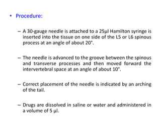 • Procedure:
– A 30-gauge needle is attached to a 25µl Hamilton syringe is
inserted into the tissue on one side of the L5 or L6 spinous
process at an angle of about 20°.
– The needle is advanced to the groove between the spinous
and transverse processes and then moved forward the
intervertebral space at an angle of about 10°.
– Correct placement of the needle is indicated by an arching
of the tail.
– Drugs are dissolved in saline or water and administered in
a volume of 5 µl.
 