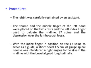 • Procedure:
– The rabbit was carefully restrained by an assistant.
– The thumb and the middle ﬁnger of the left hand
were...