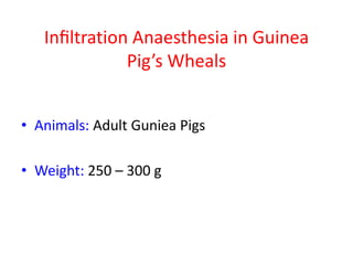 Inﬁltration Anaesthesia in Guinea
Pig’s Wheals
• Animals: Adult Guniea Pigs
• Weight: 250 – 300 g
 