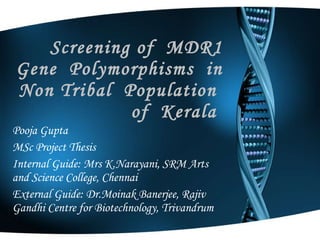 Screening of  MDR1 Gene  Polymorphisms  in  Non Tribal  Population  of  Kerala  Pooja Gupta MSc Project Thesis Internal Guide: Mrs K.Narayani, SRM Arts and Science College, Chennai External Guide: Dr.Moinak Banerjee, Rajiv Gandhi Centre for Biotechnology, Trivandrum 