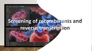 Screening Recon Example screening of reconbinants and reverse trancription.pptx