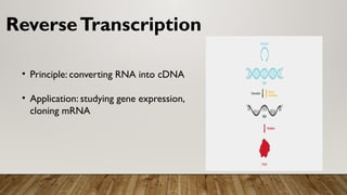 screening of reconbinants and reverse trancription.pptx