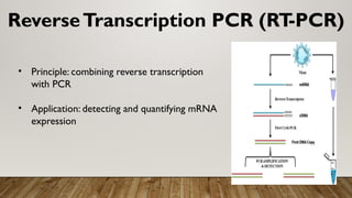screening of reconbinants and reverse trancription.pptx