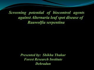 Screening potential of biocontrol agents
against Alternaria leaf spot disease of
Rauwolfia serpentina
Presented by: Shikha Thakur
Forest Research Institute
Dehradun
 