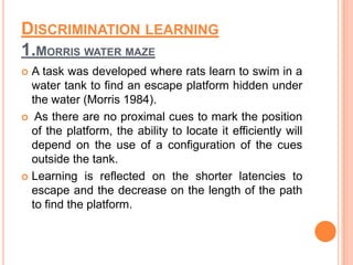 DISCRIMINATION LEARNING
1.MORRIS WATER MAZE
 A task was developed where rats learn to swim in a
water tank to find an escape platform hidden under
the water (Morris 1984).
 As there are no proximal cues to mark the position
of the platform, the ability to locate it efficiently will
depend on the use of a configuration of the cues
outside the tank.
 Learning is reflected on the shorter latencies to
escape and the decrease on the length of the path
to find the platform.
 