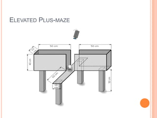 ELEVATED PLUS-MAZE
 