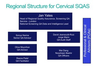 Regional Structure for Cervical SQAS
Screening Quality Assurance update
Jan Yates
Head of Regional Quality Assurance, Screening QA
Service - London
National Screening QA Data and Intelligence Lead
Sonya Narine
Senior QA Advisor
Olive Moynihan
QA Advisor
Reena Patel
QA Facilitator
David Jeansoulé-Ruiz
Jorge Marin
QA Audit Staff
Mai Dang
Noosheen Bashir
QA Officers
Professional&Clinical
Advisors(PCAs)
 