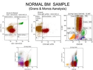 NORMAL BM SAMPLE
(Grans & Monos Aanalysis)
 