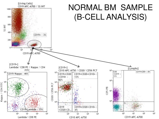 Ten-Color, 14 Antibody Flow cytometry (FCM) Screening Tube 