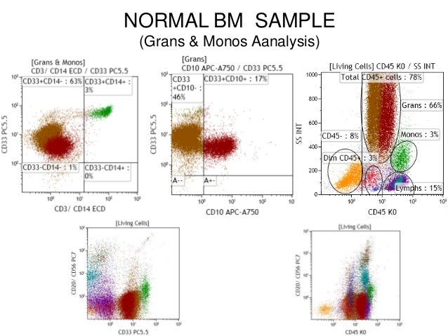 Ten-Color, 14 Antibody Flow cytometry (FCM) Screening Tube 