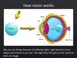 How vision works
We can see things because of reflected light. Light bounces of an
object and enters in our eye. This light then focuses on the retina to
form an image.
 