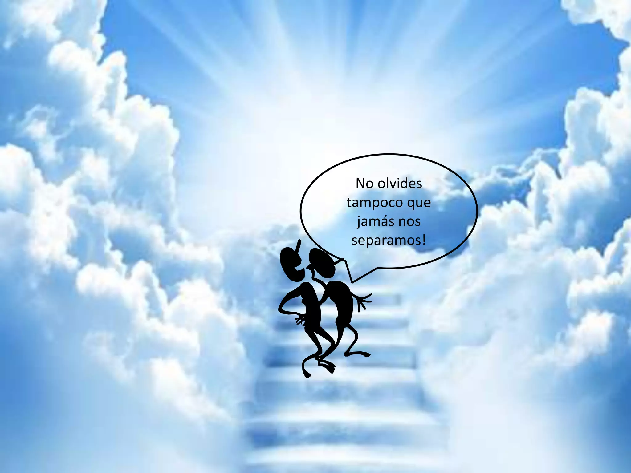 No olvides
tampoco que
jamás nos
separamos!