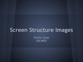 Screen Structure Images
Emilia Casas
SOC4853
 