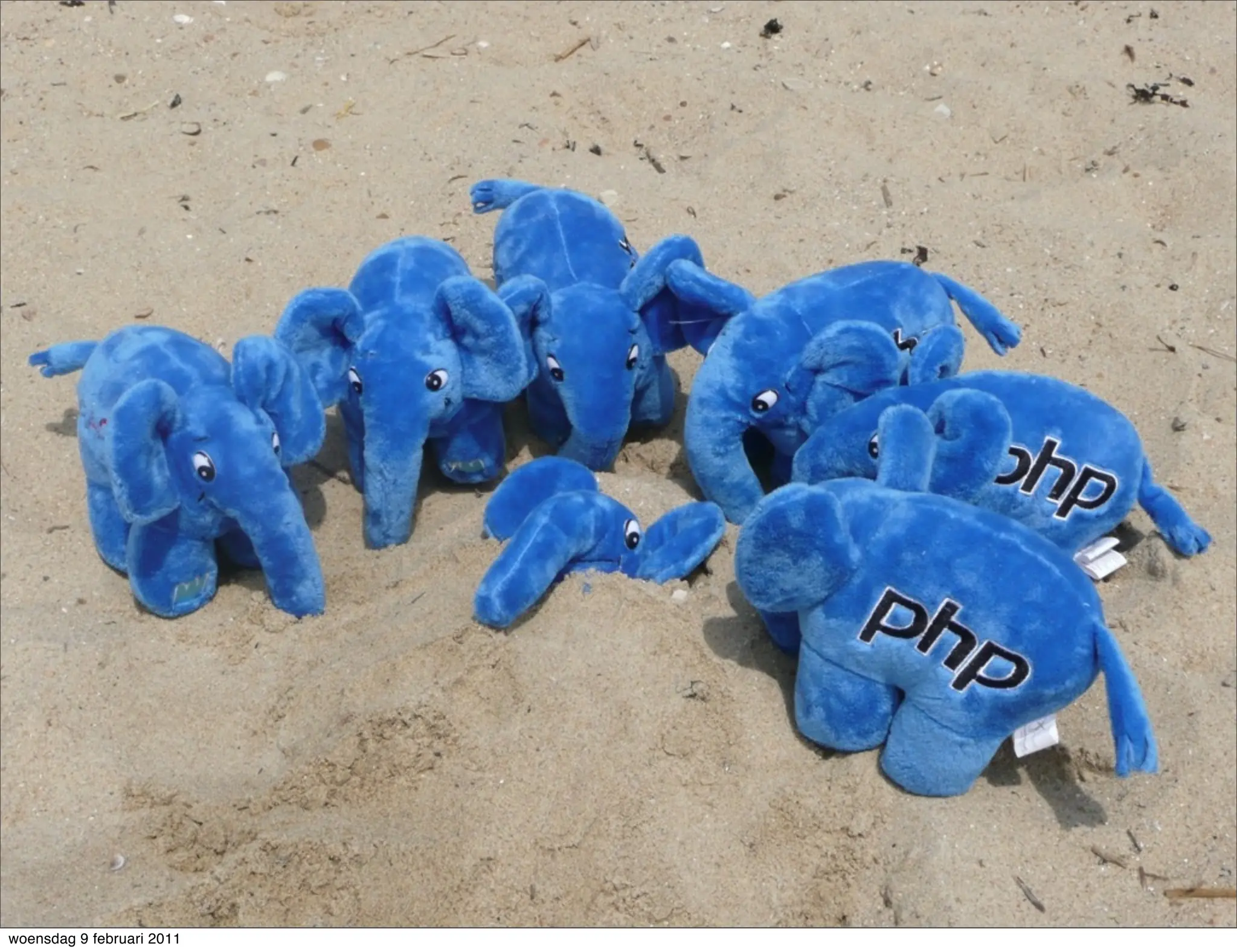 woensdag 9 februari 2011
 