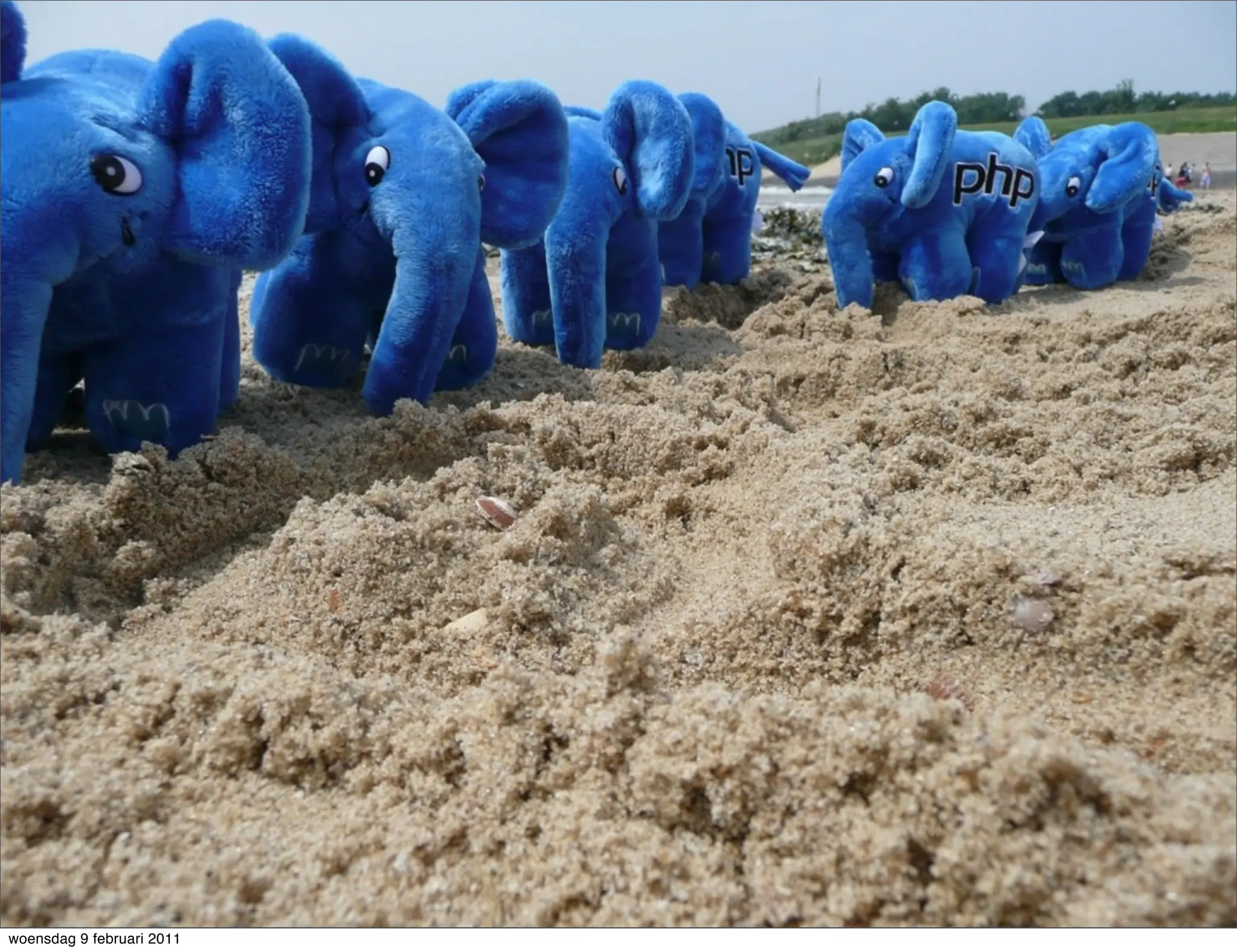 woensdag 9 februari 2011
 