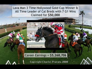 Lava Man 3 Time Hollywood Gold Cup Winner & All Time Leader of Cal Breds with 7 G1 Wins Claimed for  $50,000 Career Earnin...
