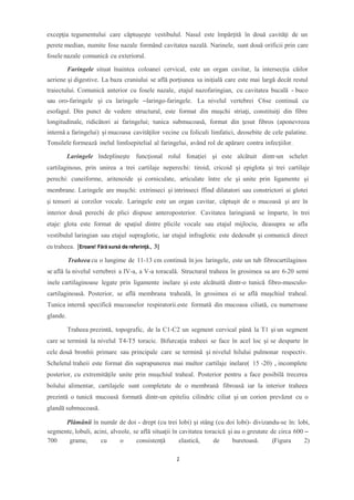excepţia tegumentului care căptușește vestibulul. Nasul este împărţită în două cavităţi de un
perete median, numite fose nazale formând cavitatea nazală. Narinele, sunt două orificii prin care
fosele nazale comunică cu exteriorul.
Faringele situat înaintea coloanei cervical, este un organ cavitar, la intersecția căilor
aeriene şi digestive. La baza craniului se află porţiunea sa iniţială care este mai largă decât restul
traiectului. Comunică anterior cu fosele nazale, etajul nazofaringian, cu cavitatea bucală - buco
sau oro-faringele şi cu laringele –laringo-faringele. La nivelul vertebrei C6se continuă cu
esofagul. Din punct de vedere structural, este format din muşchi striaţi, constituiţi din fibre
longitudinale, ridicători ai faringelui; tunica submucoasă, format din ţesut fibros (aponevroza
internă a faringelui) şi mucoasa cavităţilor vecine cu foliculi limfatici, deosebite de cele palatine.
Tonsilele formează inelul limfoepitelial al faringelui, având rol de apărare contra infecţiilor.
Laringele îndeplineşte funcţional rolul fonaţiei și este alcătuit dintr-un schelet
cartilaginous, prin unirea a trei cartilaje neperechi: tiroid, cricoid şi epiglota şi trei cartilaje
perechi: cuneiforme, aritenoide şi corniculate, articulate între ele şi unite prin ligamente şi
membrane. Laringele are muşchi: extrinseci şi intrinseci ffind dilatatori sau constrictori ai glotei
şi tensori ai corzilor vocale. Laringele este un organ cavitar, căptuşit de o mucoasă şi are în
interior două perechi de plici dispuse anteroposterior. Cavitatea laringiană se împarte, în trei
etaje: glota este format de spaţiul dintre plicile vocale sau etajul mijlociu, deasupra se afla
vestibulul laringian sau etajul supraglotic, iar etajul infraglotic este dedesubt și comunică direct
cu traheea. [Eroare! Fără sursă de referință., 3]
Traheea cu o lungime de 11-13 cm continuă în jos laringele, este un tub fibrocartilaginos
se află la nivelul vertebrei a IV-a, a V-a toracală. Structural traheea în grosimea sa are 6-20 semi
inele cartilaginoase legate prin ligamente inelare și este alcătuită dintr-o tunică fibro-musculo-
cartilaginoasă. Posterior, se află membrana traheală, în grosimea ei se află muşchiul traheal.
Tunica internă specifică mucoaselor respiratorii.este formată din mucoasa ciliată, cu numeroase
glande.
Traheea prezintă, topografic, de la C1-C2 un segment cervical până la T1 şi un segment
care se termină la nivelul T4-T5 toracic. Bifurcaţia traheei se face în acel loc și se desparte în
cele două bronhii primare sau principale care se termină şi nivelul hilului pulmonar respectiv.
Scheletul traheii este format din suprapunerea mai multor cartilaje inelare( 15 -20) , incomplete
posterior, cu extremităţile unite prin muşchiul traheal. Posterior pentru a face posibilă trecerea
bolului alimentar, cartilajele sunt completate de o membrană fibroasă iar la interior traheea
prezintă o tunică mucoasă formată dintr-un epiteliu cilindric ciliat şi un corion prevăzut cu o
glandă submucoasă.
Plămânii în număr de doi - drept (cu trei lobi) şi stâng (cu doi lobi)- divizandu-se în: lobi,
segmente, lobuli, acini, alveole, se află situații în cavitatea toracică și au o greutate de circa 600 –
700 grame, cu o consistență elastică, de buretoasă. (Figura 2)
2
 