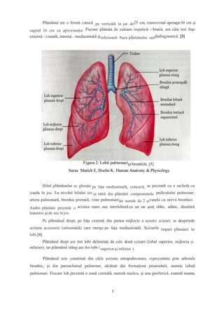 , pe verticălă în jur de
sagital 16 cm cu aproximație
inferioară- baza plămânului sau
șibronhiile [5]
pe faţa mediastinală, concavă,
şi intră din plămâni componentele
ăn număr de 2 şi
Ambii plămâni prezintă o
înăuntru şi de sus în jos.
,
împart plămânii în
lobi.[4]
superior şi inferior ).
3
 