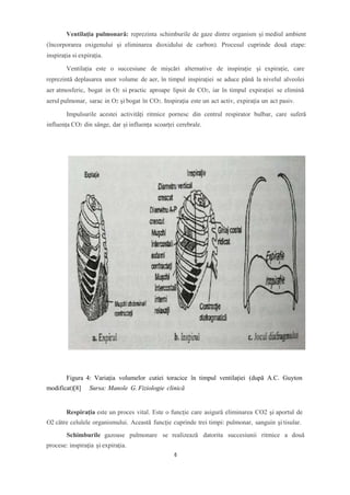 Ventilația pulmonară: reprezinta schimburile de gaze dintre organism și mediul ambient
(încorporarea oxigenului și eliminarea dioxidului de carbon). Procesul cuprinde două etape:
inspirația si expirația.
Ventilația este o succesiune de mișcări alternative de inspirație și expirație, care
reprezintă deplasarea unor volume de aer, în timpul inspirației se aduce până la nivelul alveolei
aer atmosferic, bogat in O2 si practic aproape lipsit de CO2, iar în timpul expirației se elimină
aerul pulmonar, sarac in O2 și bogat în CO2. Inspirația este un act activ, expirația un act pasiv.
Impulsurile acestei activități ritmice pornesc din centrul respirator bulbar, care suferă
influența CO2 din sânge, dar și influența scoarței cerebrale.
Figura 4: Variația volumelor cutiei toracice în timpul ventilației (după A.C. Guyton
modificat)[8] Sursa: Manole G. Fiziologie clinică
Respiraţia este un proces vital. Este o funcţie care asigură eliminarea CO2 şi aportul de
O2 către celulele organismului. Această funcţie cuprinde trei timpi: pulmonar, sanguin şi tisular.
Schimburile gazoase pulmonare se realizează datorita succesiunii ritmice a două
procese: inspiraţia şi expiraţia.
6
 